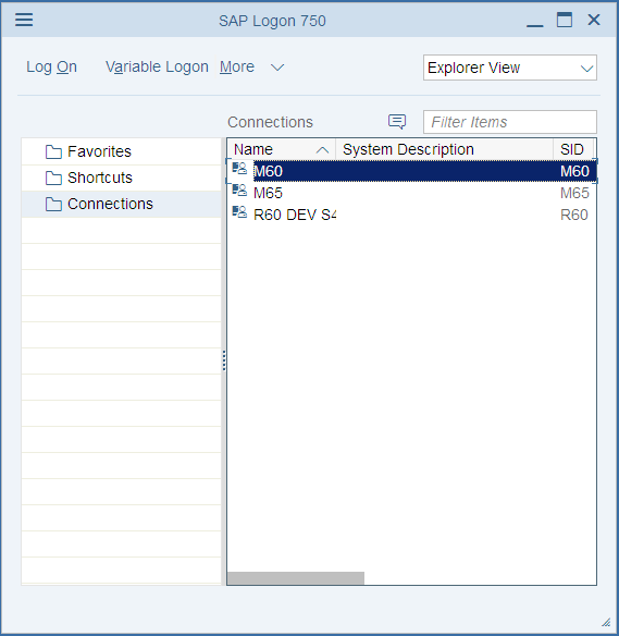 SAP Login Screen